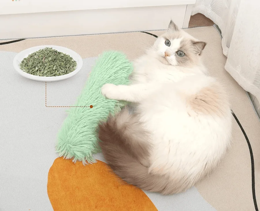 Catnip Plush Toys by Ahgoopet