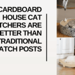 Why Cardboard House Cat Scratchers Are Better Than Traditional Scratch Posts