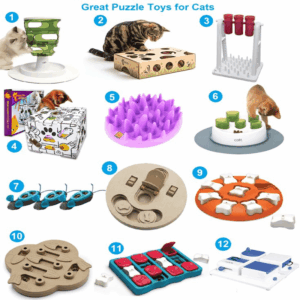 Interactive Cat Toys